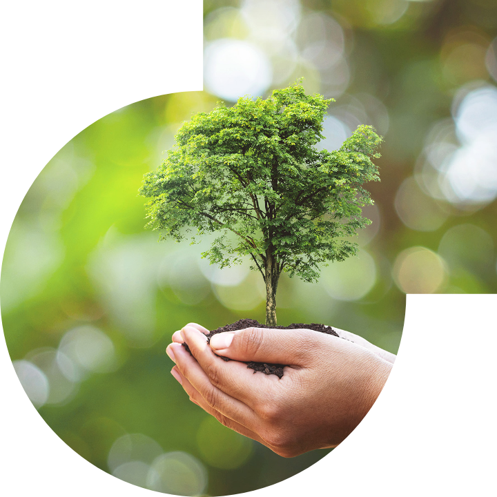 关怀人类、文化、环境与社会